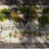 Giardino di Bacco